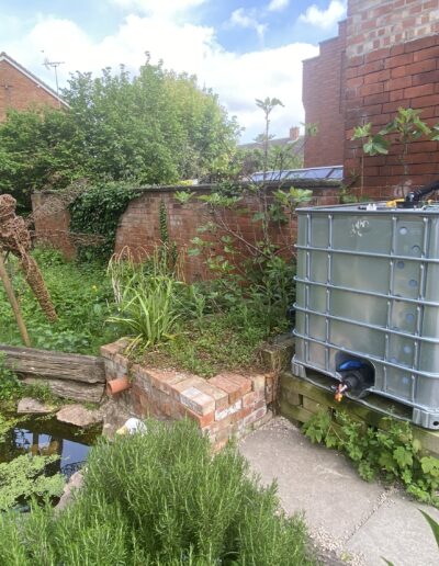 Loughborough Rectory Wildlife Garden