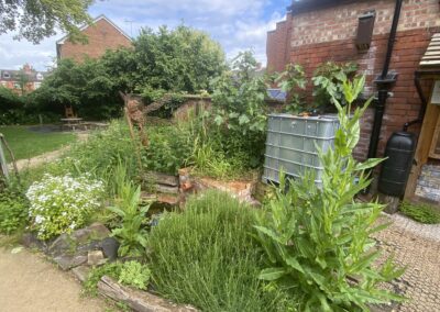 Loughborough Rectory Wildlife Garden