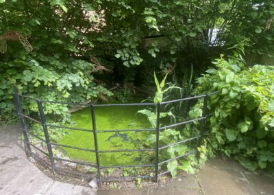 Loughborough Rectory Wildlife Garden