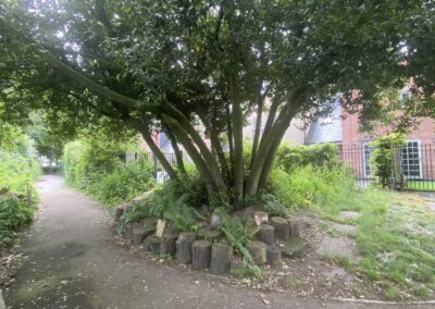 Loughborough Rectory Wildlife Garden